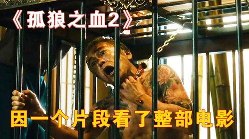 孤狼之血电影在线观看,孤胆英雄的复仇之路，在线观看震撼呈现